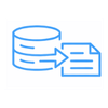 CRM & Data Export icon